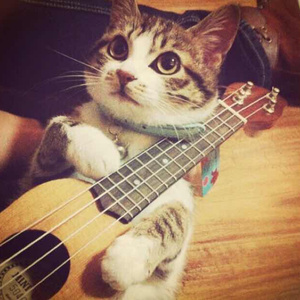 成人无码www免费视频苹果版
